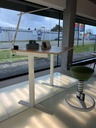 Meri Standing Desk